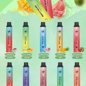 VAPOR STORM 風暴 5000抽 拋棄式主機 650mAh 長效續航 10ml 不掉味存量 Type-C 快速充電 台灣現貨