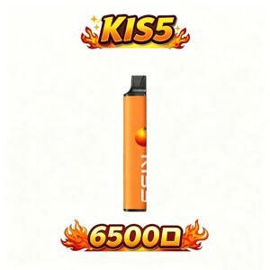 KIS5 鎧斯 6500抽 Dual Mesh 雙芯不掉味技術 恆定電流穩定輸出 高性能拋棄式主機 3% 順滑擊喉感 台灣現貨